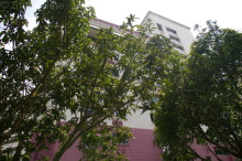 Blk 288D Bukit Batok Street 25 (Bukit Batok), HDB 4 Rooms #334752